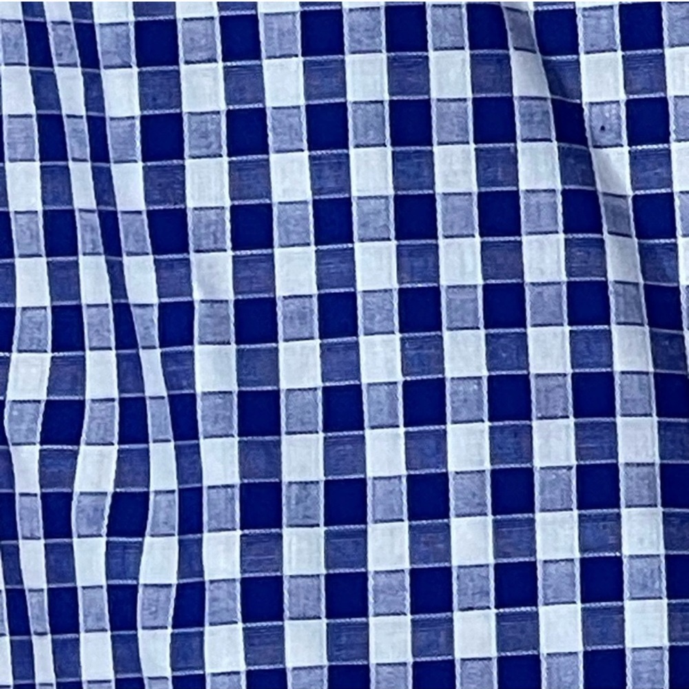 Unique Vintage 3X/20 Gingham Pattern High Rise Shorts in Blue and White. - Picture 6 of 16